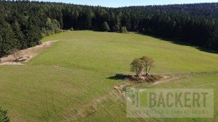 Hauptbild Acker-/Grünland in Bärnau - OT Altglashütte